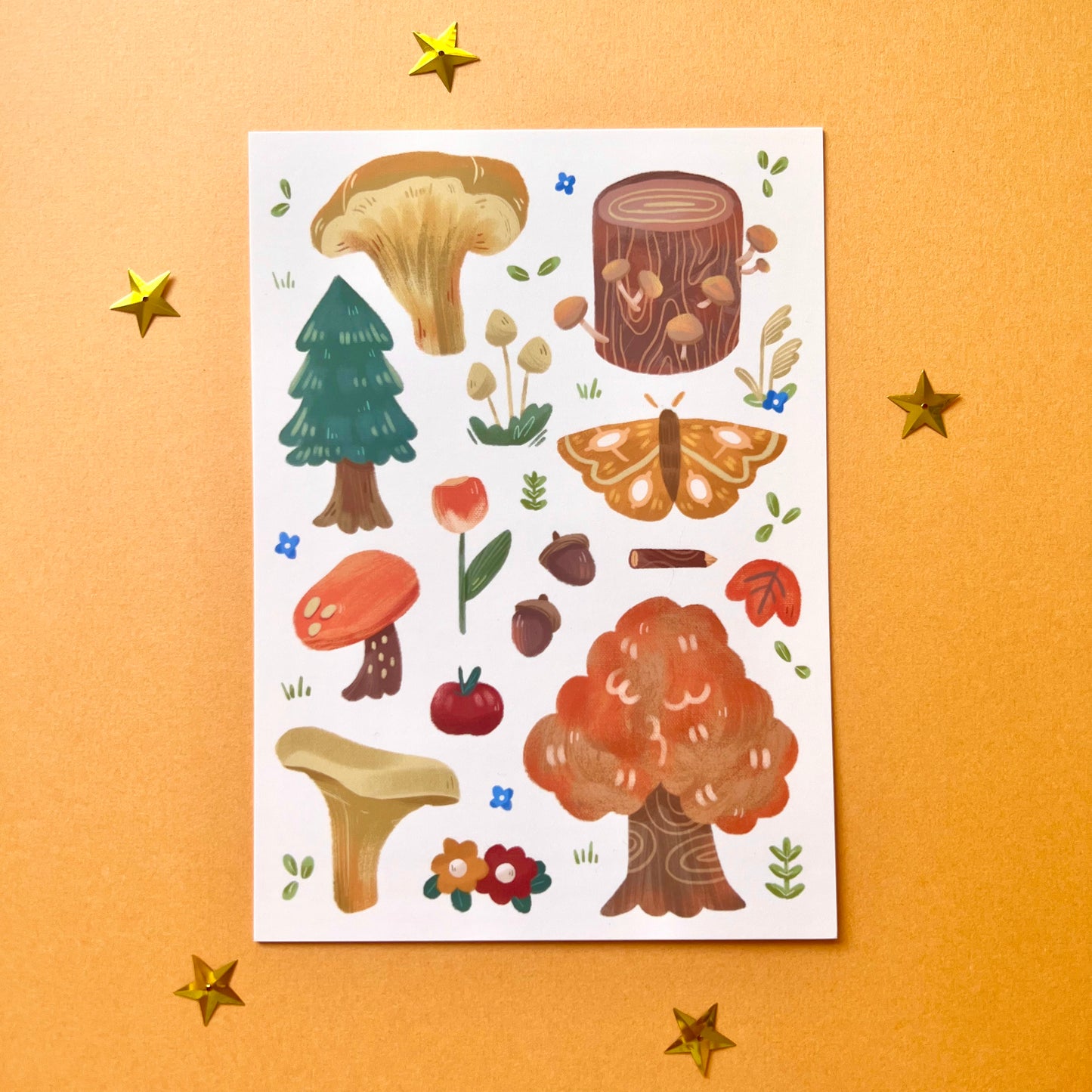 Fall Horizons | 5x7 Print