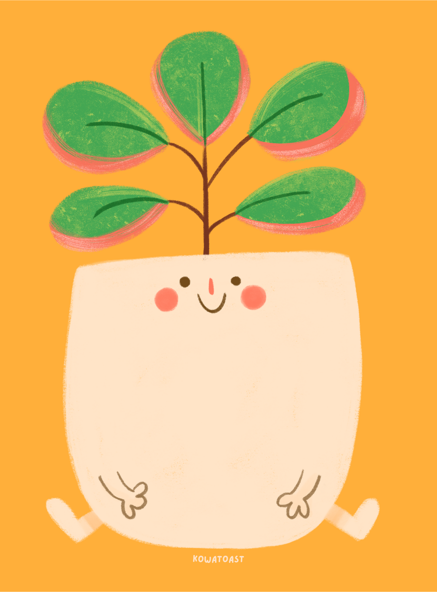 Pilea Pal | Notepad